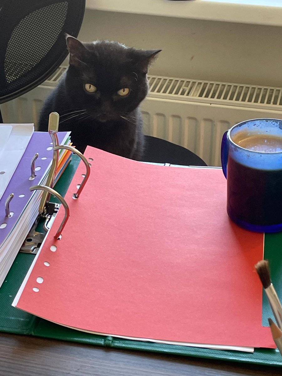 Selīna Puķe tweet media