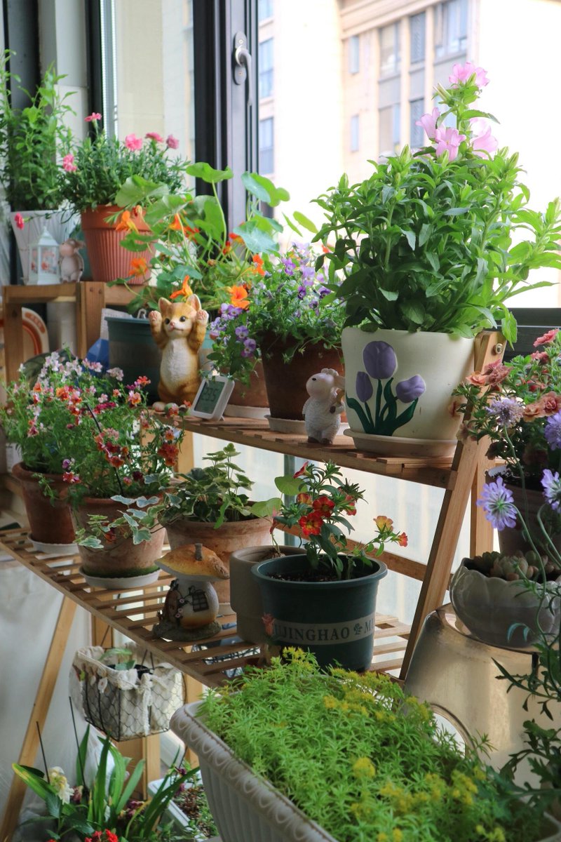 RubyStork's tweet image. A carefully planted flower tree, peace in the heart. 🌿💫