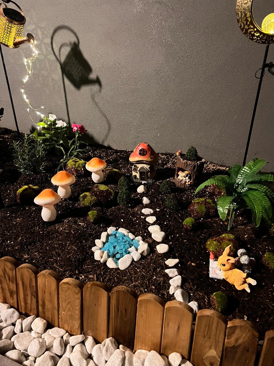 A small flower tree in the corner of my roof, may it stay alive with care. 🌱