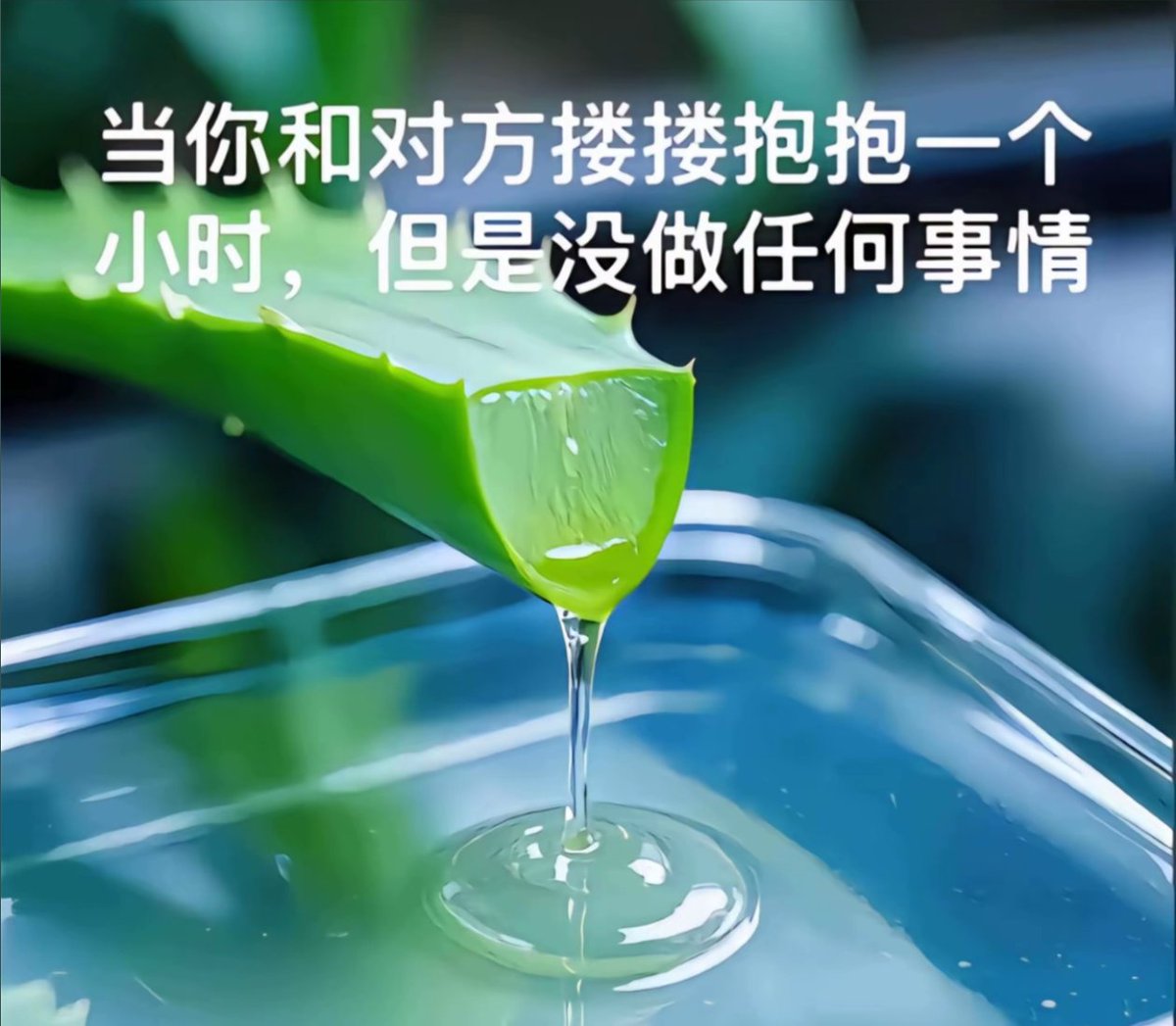 致敬纯爱的我们