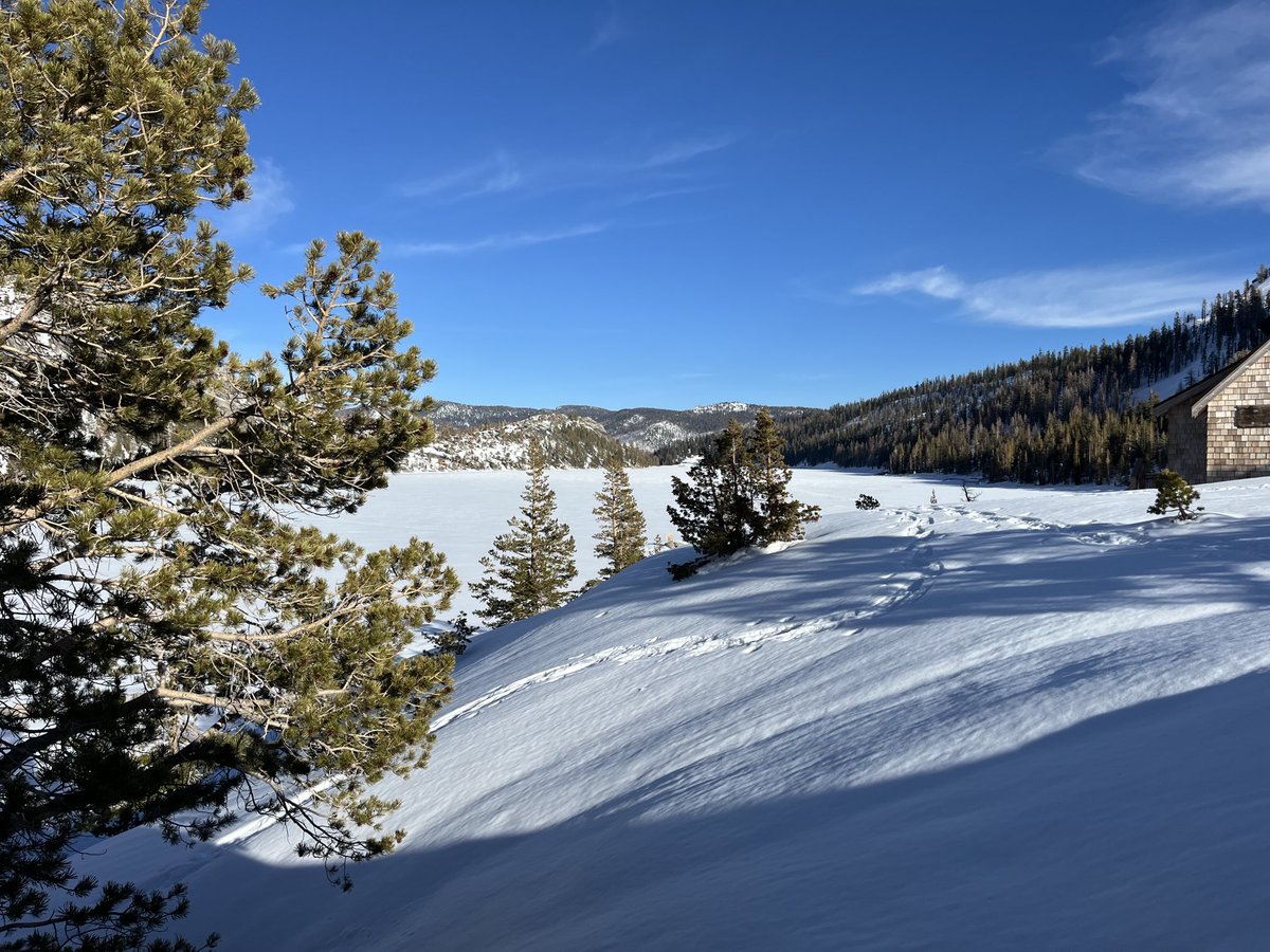 Echo Cam tweet media