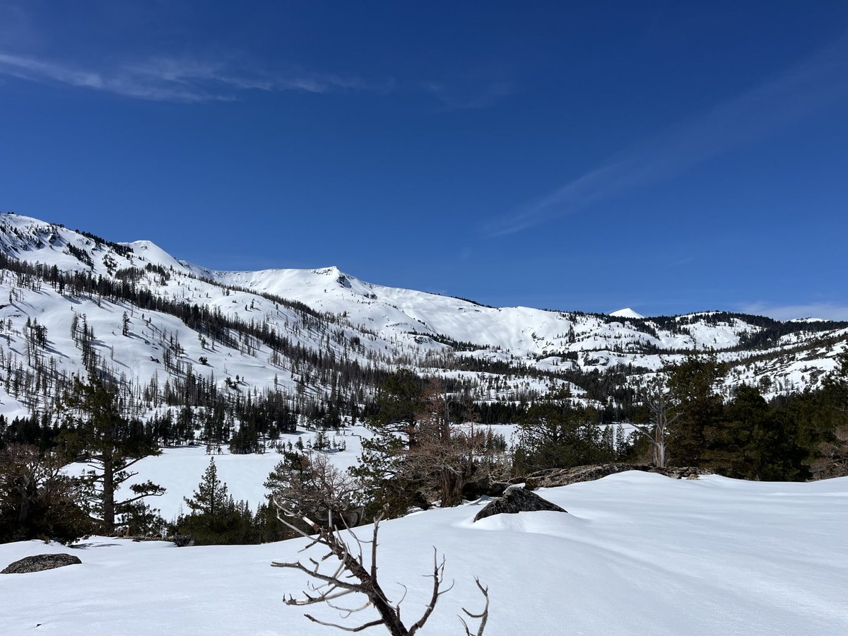 Echo Cam tweet media