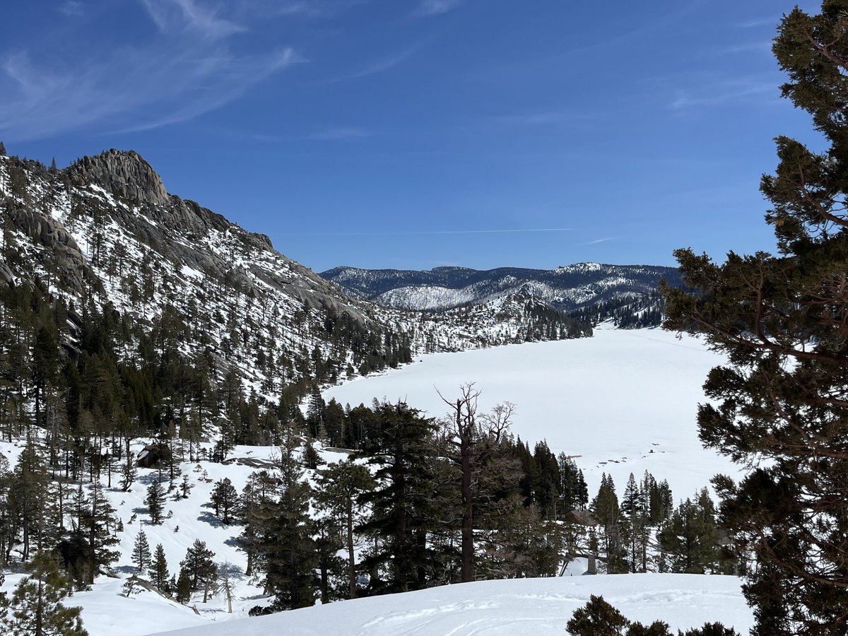 Echo Cam tweet media