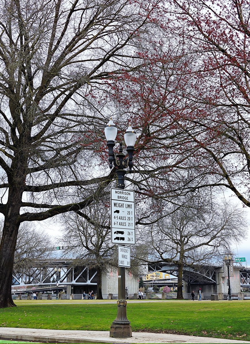 𝘻𝘩𝘢𝘳𝘱𝘨 (@zharifadnan) on Twitter photo 