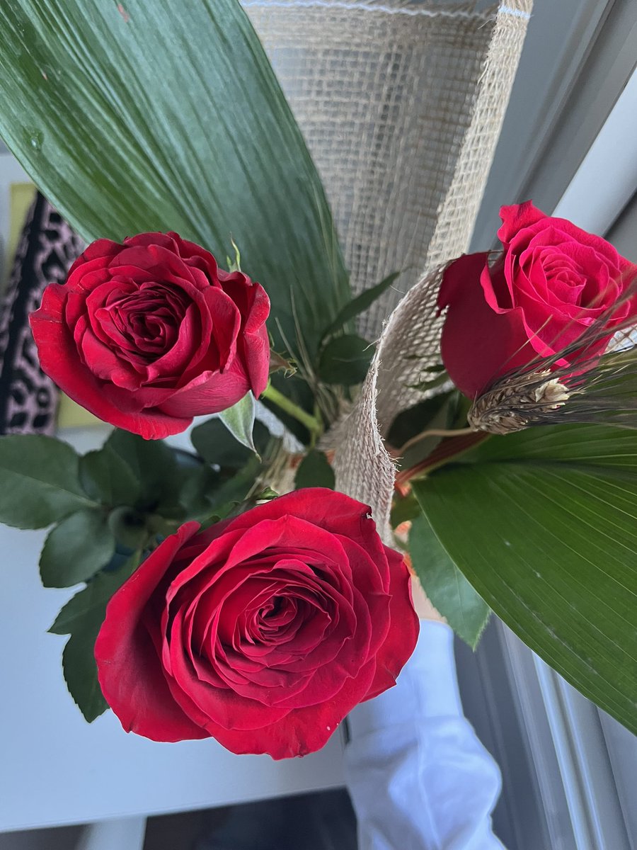 beccatio's tweet photo. recap de las flores mas bonitas que he tenido en mi poder https://t.co/P5ZOjflHnX