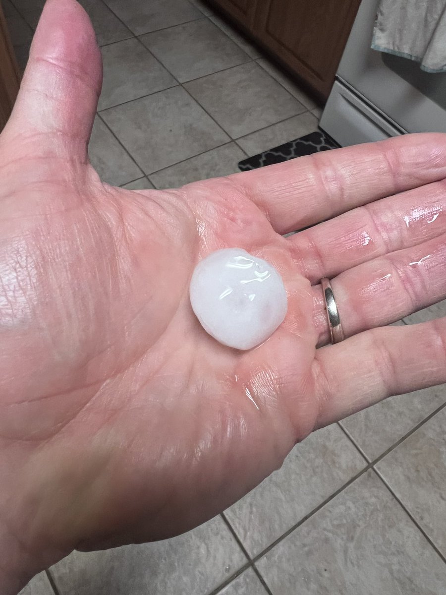 Mark Felch tweet media