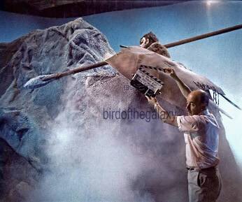 2cHISface's tweet photo. #AlStarTrek Director: “Be careful... the fake boulders are rented!”🎬🛸 https://t.co/e5zr0eJ3hD