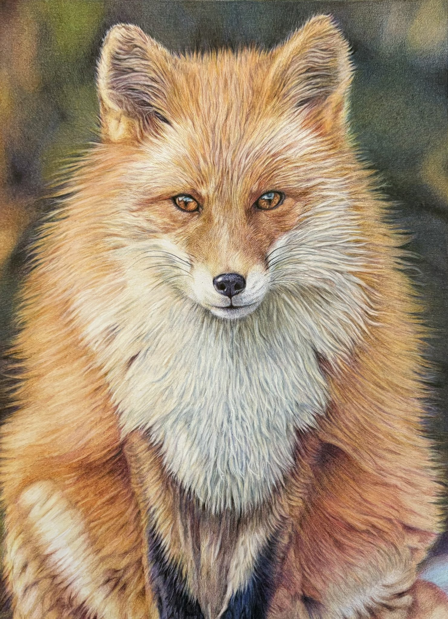 狐の鉛筆画 鉛筆画 キツネは色鉛筆で肖像画を描いています 背景｜JPG 無料