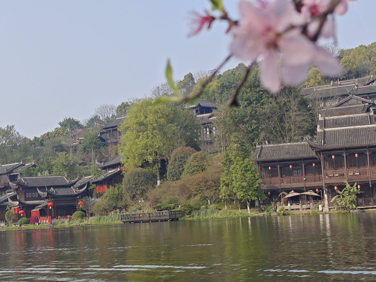 DaiSiras's tweet photo. 春和景明 https://t.co/gofDNN7Zni