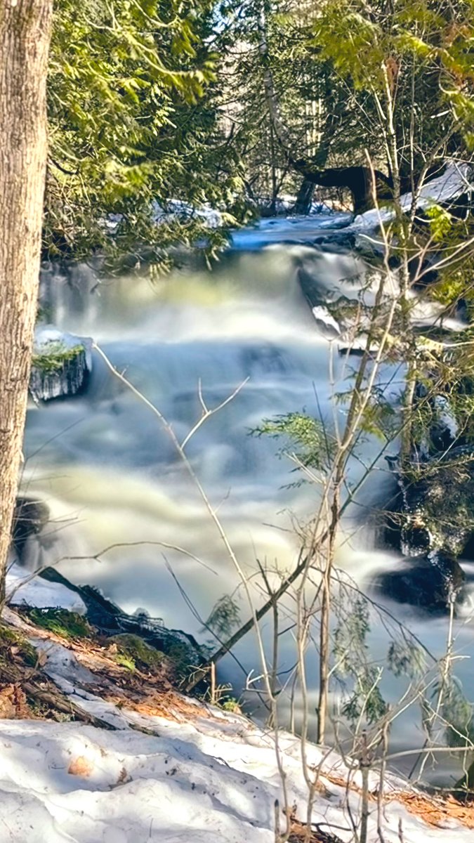 smileitsfree44's tweet image. Found this beautiful Gem today!! 
Nature is so beautiful.

#springisnear 🫶