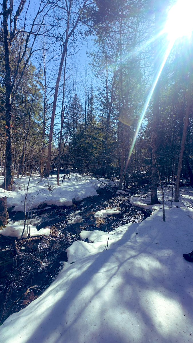 smileitsfree44's tweet image. Found this beautiful Gem today!! 
Nature is so beautiful.

#springisnear 🫶