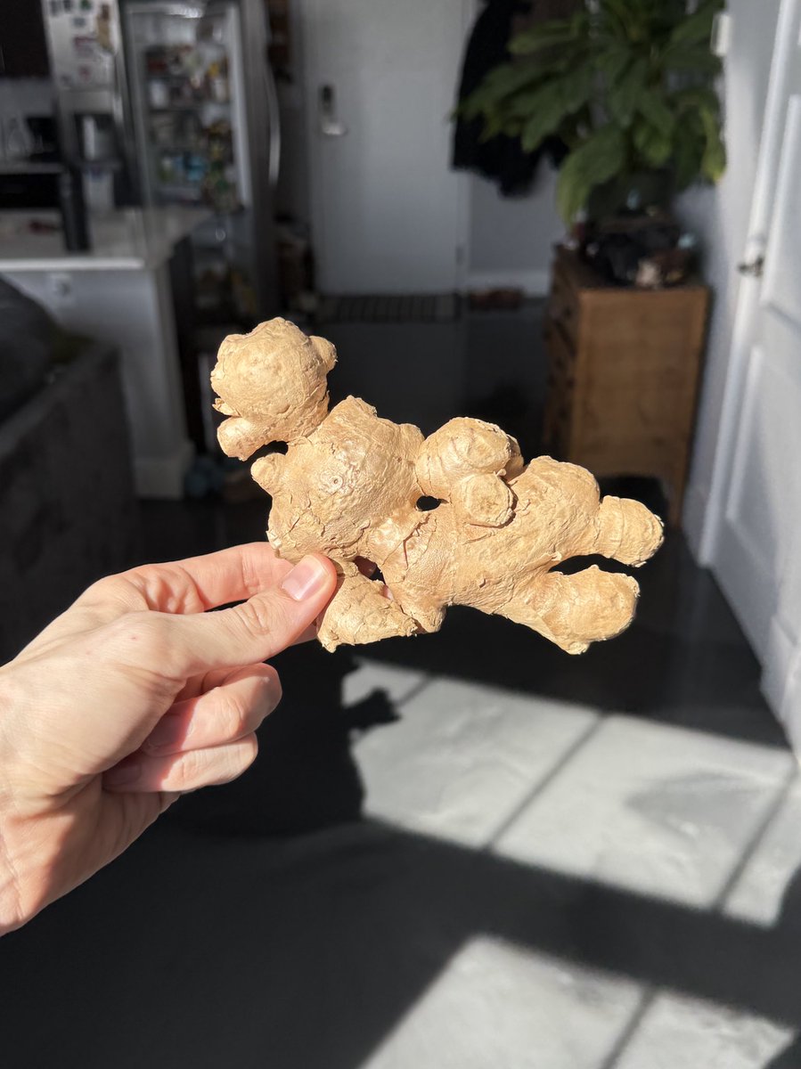 “Draw me like one of your French girls”