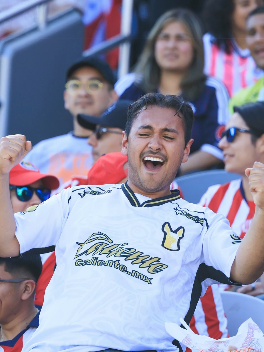 Xolos tweet media