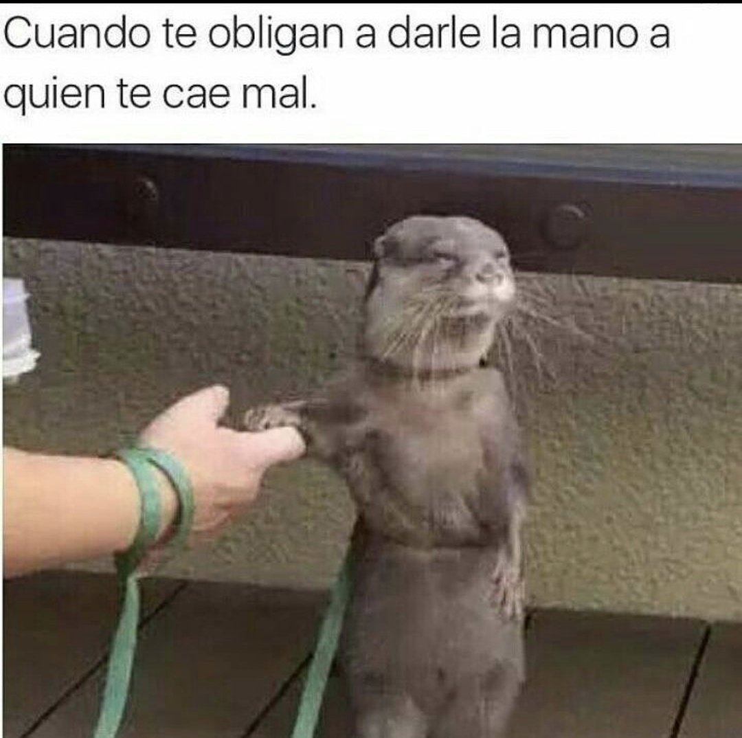 Cuando se estrecharon las manos Noboa y González #DebatePresidencial2025 #EleccionesEcuador2025