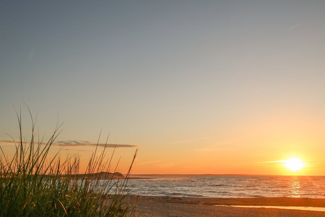 Welcome PEI tweet media