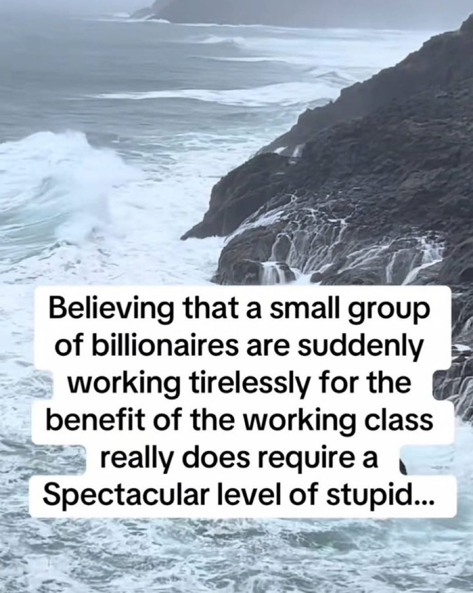 Fernando Oliver, Esq. (@fernand46357857) on Twitter photo 