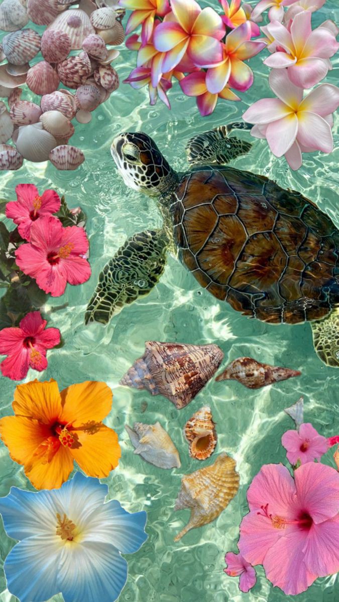PlanetGuar45656's tweet photo. A turtle's journey through a sea of flowers and shells! ππ’ #CSKvMI #Sikandar β¨#UnderwaterWonder #TurtleTales #NatureBeauty https://t.co/CEY3e0XU7e