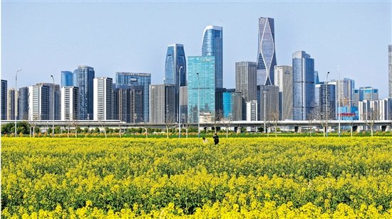 zhu_alice50849's tweet photo. The modern skyline of Qianjiang Century City stands in harmony with the golden canola flowers, creating a breathtaking urban countryside canvas. 🏙️🌻 #UrbanSpring #GoldenFields https://t.co/82DbpCTVaa