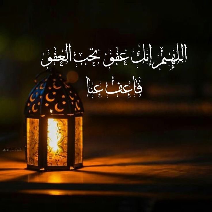 ⭐️عبدالعزيز⭐️ tweet media