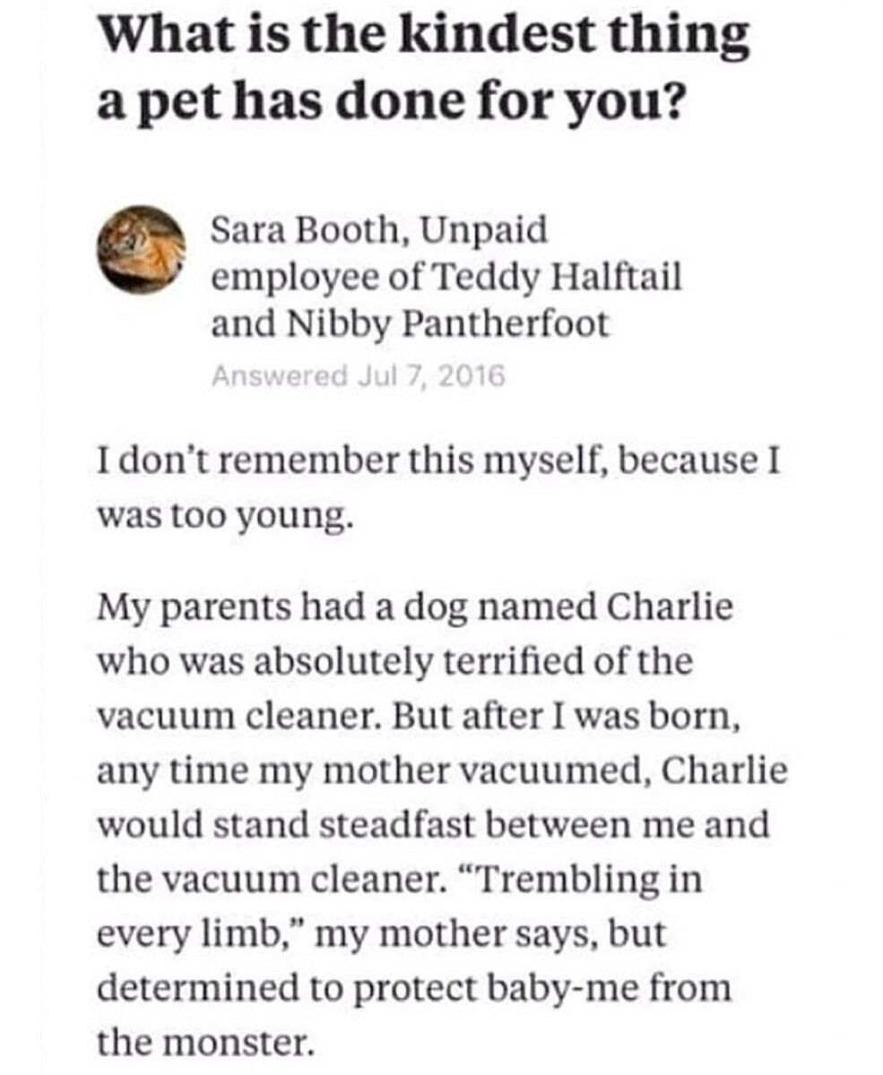 WholesomeMemes (@wholesomememe) on Twitter photo 