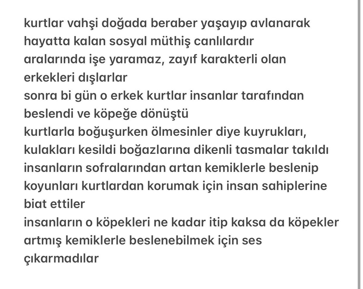 köpekler nasıl ortaya çıkmıştır
