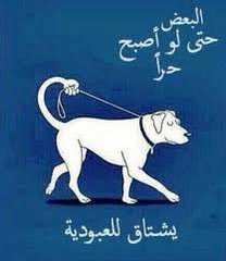 allvver's tweet photo. @rrll3Il https://t.co/RV7MtSMMK6
