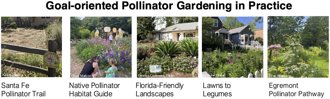ConBiology's tweet image. Interested in creating a #pollinatorgarden this year?🌼🌱🪻 Check out Dorian et al’s #recentlypublished paper about setting goals for your garden. doi.org/10.1111/cobi.7…
#conservation #science #gardening #pollinators