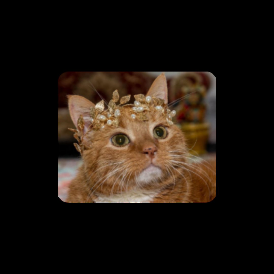 itsqueenodie's tweet image. 𝐢f  𝚛escuing  𝚢𝚘𝚞  is a 
sɪɴ  ,  ɪ’ʟʟ  𝑔ladly  become   
a  𝒔ɪɴɴᴇʀ.