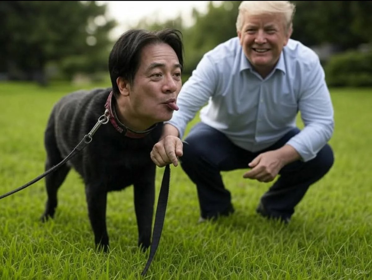 哈哈哈。給我逗笑了😂😂😂