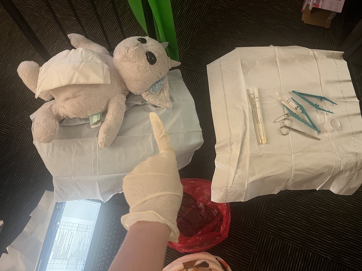 aNAThema (@_tellmewereokay) on Twitter photo shoutout <a href="/twentyonepilots/">twenty one pilots</a> for making the ned plush, i have all As in nursing school thanks to ned!! 😸 bro’s been THROUGH it shoutout <a href="/twentyonepilots/">twenty one pilots</a> for making the ned plush, i have all As in nursing school thanks to ned!! 😸 bro’s been THROUGH it