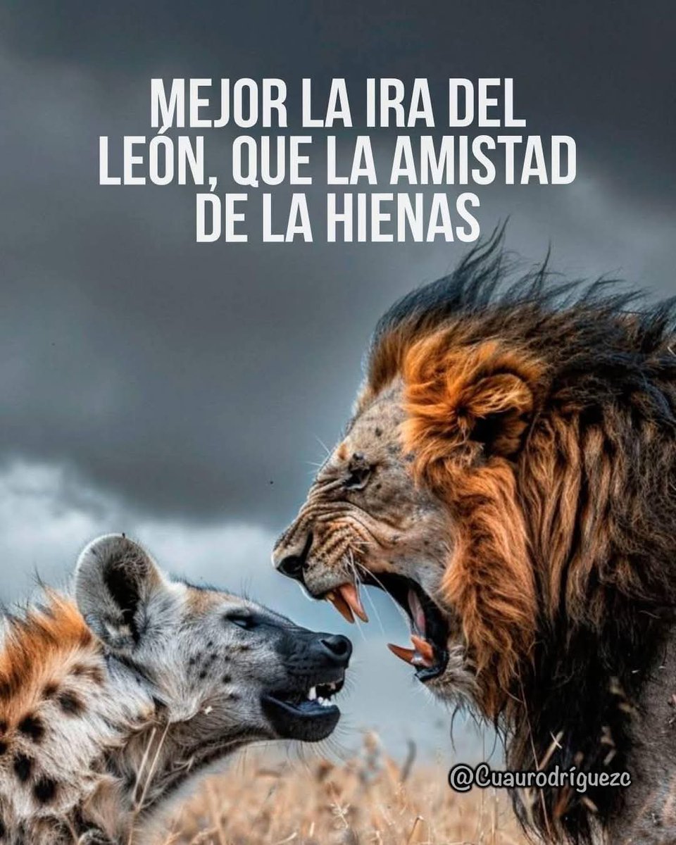 AndarPueTlax's tweet photo. Y sí!!! https://t.co/lsgoj0lZDZ