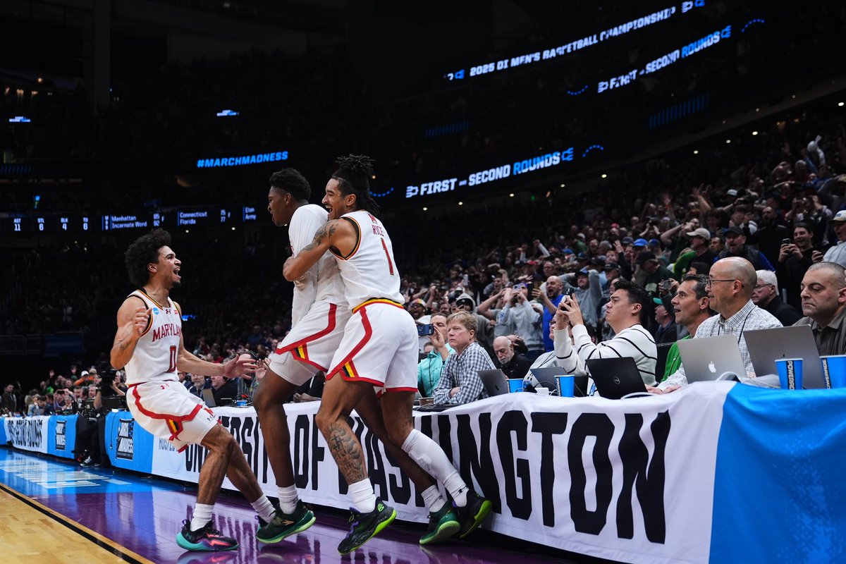 Lindsey Wasson 📸 tweet media