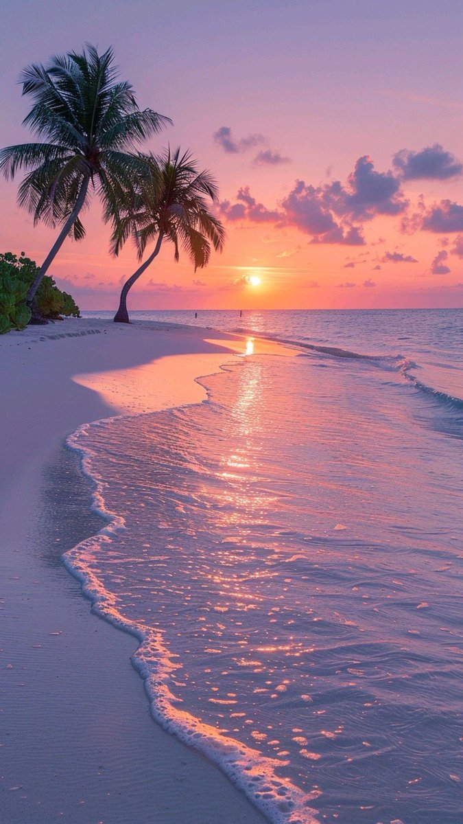Aesthetics (@aestheticspost_) on Twitter photo 