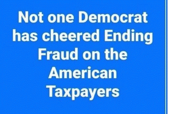 TimFlaherty's tweet image. Democrats only cheer on violence.