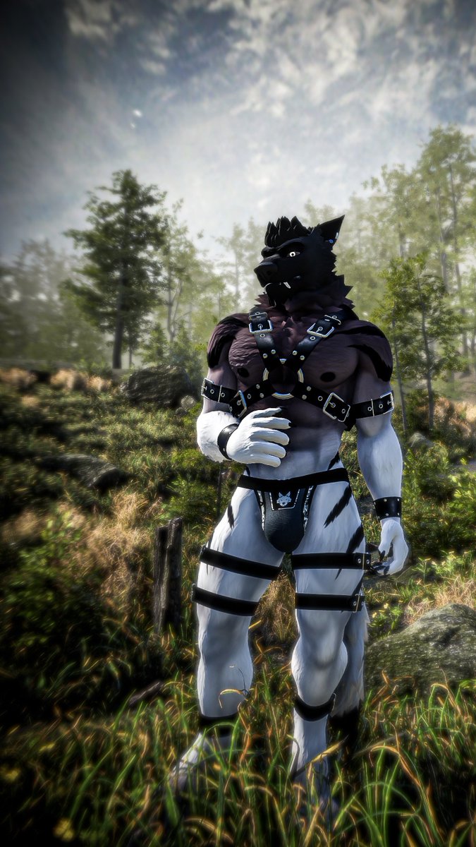 Zef_AD's tweet photo. However much you feed a wolf, it always looks to the forest https://t.co/xQG9fl1qFy