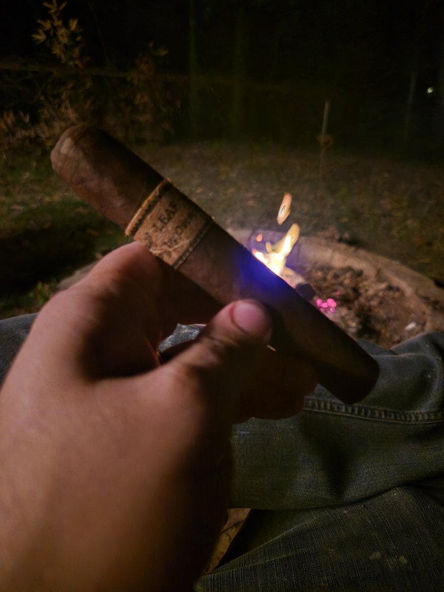 🐟 Caffinated Carp 🐟 tweet media