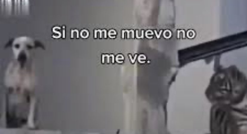 LuisVera934's tweet photo. Noboa: Usted reconoce la dictadura de Venezuela?

Luisa: 

 #EleccionesEcuador2025 https://t.co/J1L6ia9yOO