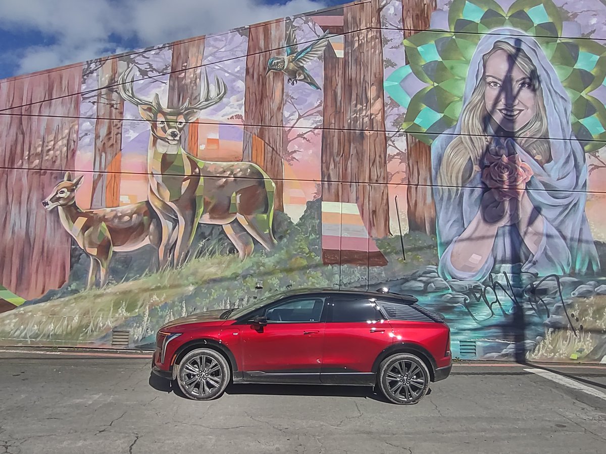 MotorWeek's tweet image. Aimed at bringing more youthful buyers into the @Cadillac family, the #OPTIQ is the brand's newest entry-level EV! And it's a compact package with a midsize feel.

Watch our recent #FirstDrive here: motorweek.org/first-impressi…