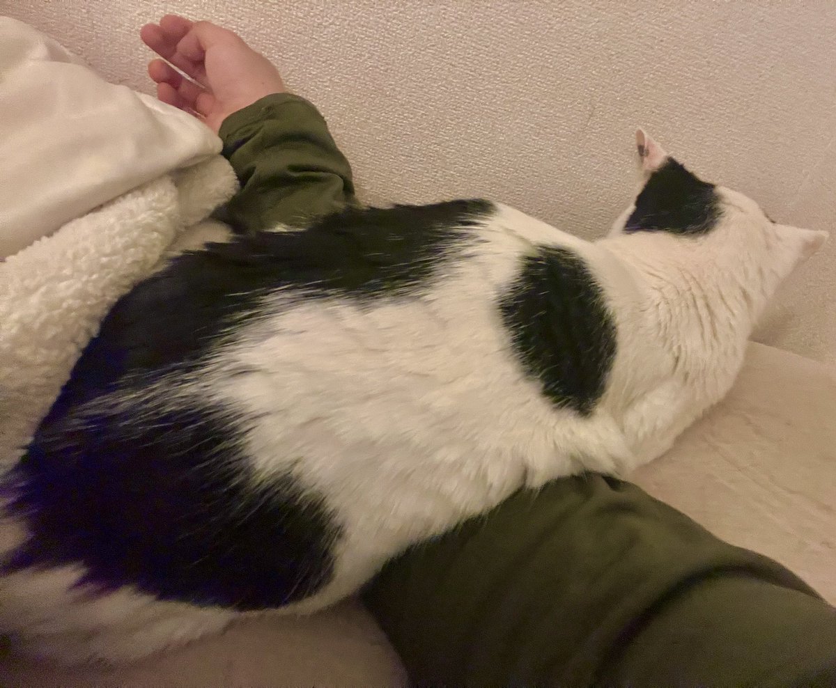 おはようございます