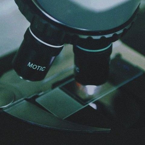 LOVELYT0P's tweet photo. joshler au ¡!

Tyler se enamora del ayudante de su profesor del laboratorio de la clase de Microbiología. Y donde Josh se arrepiente de haber aceptado ayudar al doctor en esa clase. https://t.co/seR6ZGVdtU