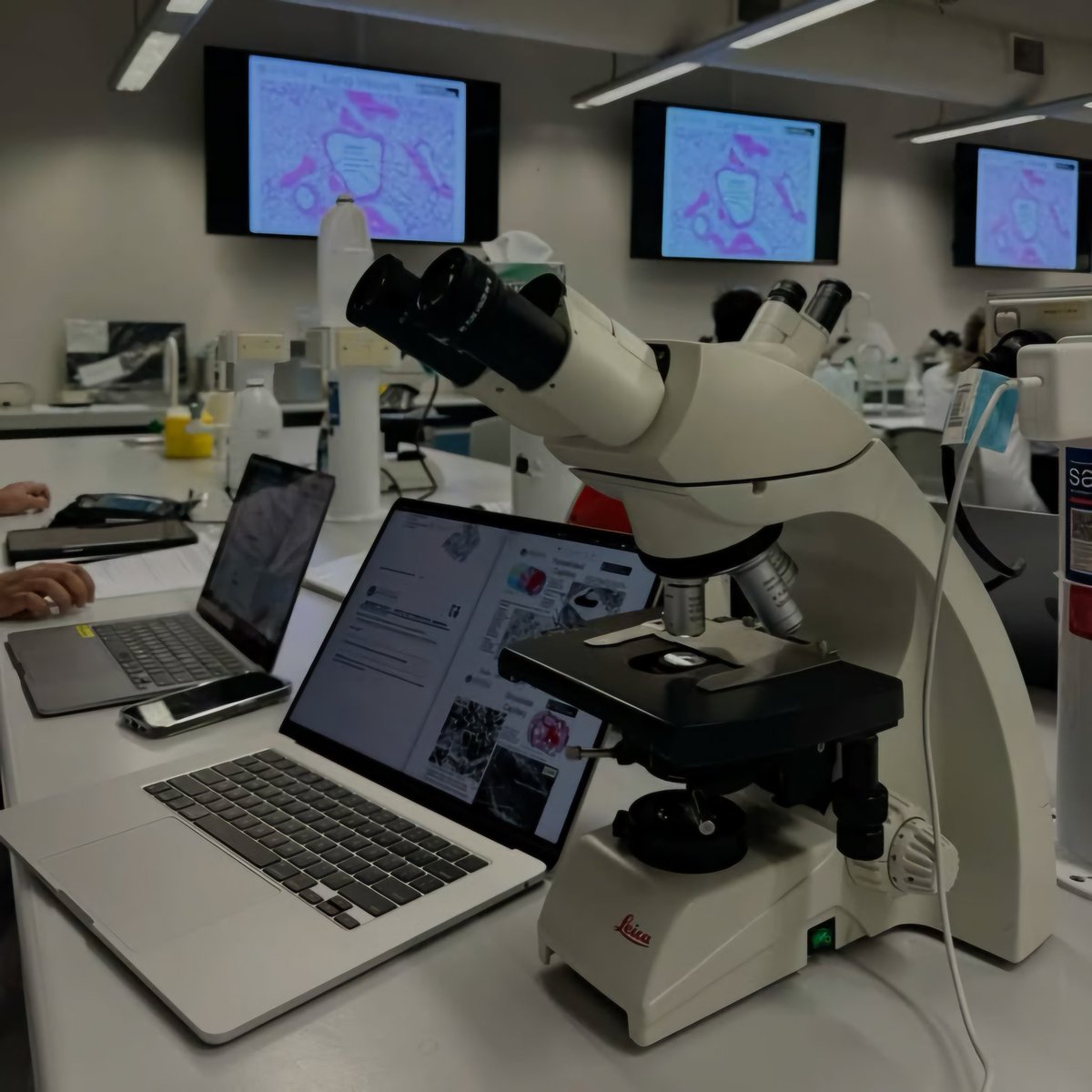LOVELYT0P's tweet photo. joshler au ¡!

Tyler se enamora del ayudante de su profesor del laboratorio de la clase de Microbiología. Y donde Josh se arrepiente de haber aceptado ayudar al doctor en esa clase. https://t.co/seR6ZGVdtU
