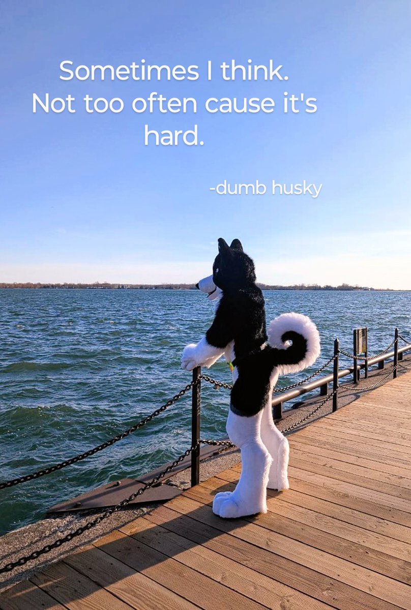 Felt kinda inspired 
Enough hard work for today 

#FursuitEveryday #fursuiter #FurnalEquinox2025