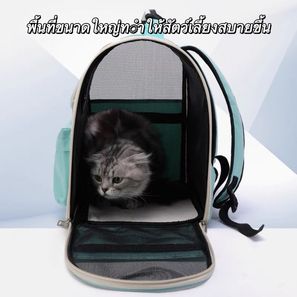 Takonok's tweet image. 😻 Pet Bag #hellocat #catbag #กระเป๋าแมว #เป้แมว #เป้สัตว์เลี้ยง #กระเป๋าใบใหญ่ พับเก็บได้ ระบายอากาศได้ หน้าต่างกันสาด มีสีขอบด้านข้าง
💥#ป้ายยา ฿148 - ฿169
🍊ตำที่ #ช้อปปี้ 
🔎BZL-JBA-JMQ
(คัดลอกโค้ดวางในช่องค้นหา)
📍พิกัด Click link👇 
s.shopee.co.th/8AI4lGgLzN