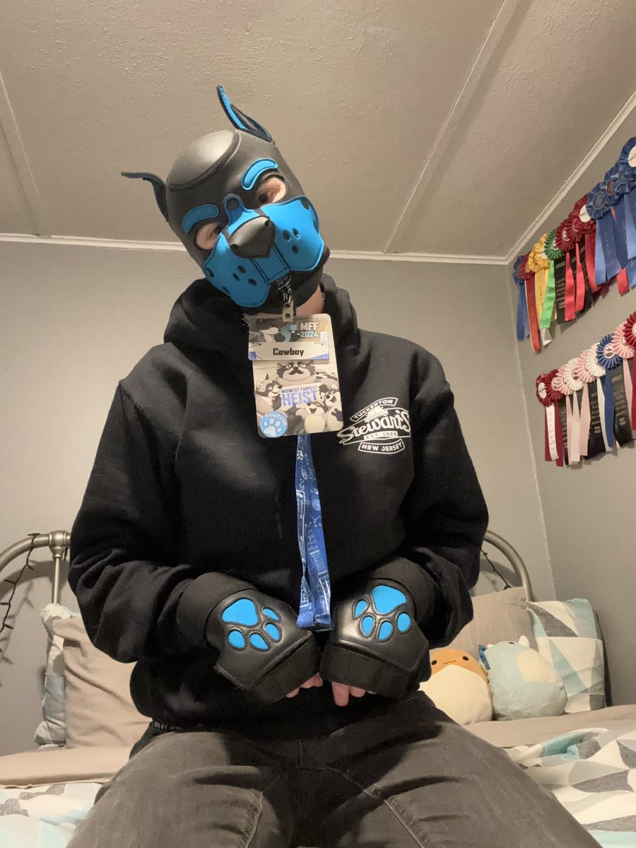 Happy national puppy day from this puppy 🩵💙
Both the furry and puppy communities have changed my life forever and I will forever be grateful for both of them 
— Hex🩵 / Cowboy💙 
#furry #furryfandom #fursuiter #puppyplay #humanpup #puphood