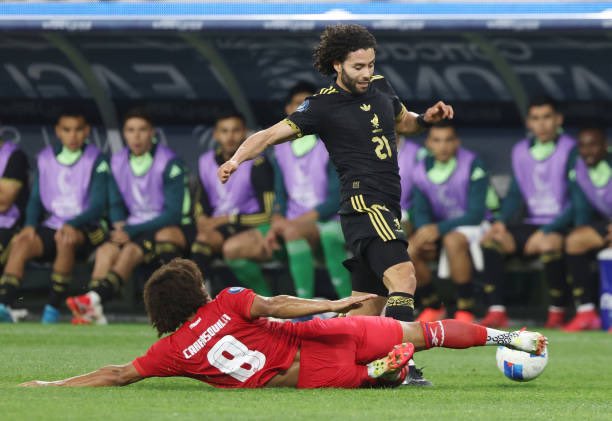 No te puedes emocionar tanto por una foto…
LA FOTO 🤩🐾: