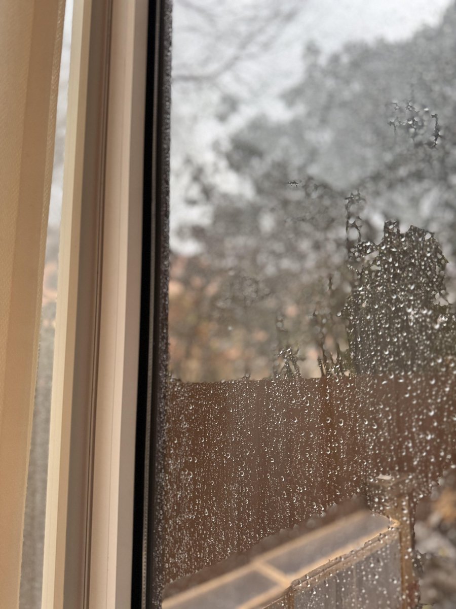 すべては成長のチャンスです
あらゆる努力が夢に一歩ずつ近づきます。
自分を信じて、勇敢に夢を追いかけ、一番輝く自分を見せてください！ 🌟