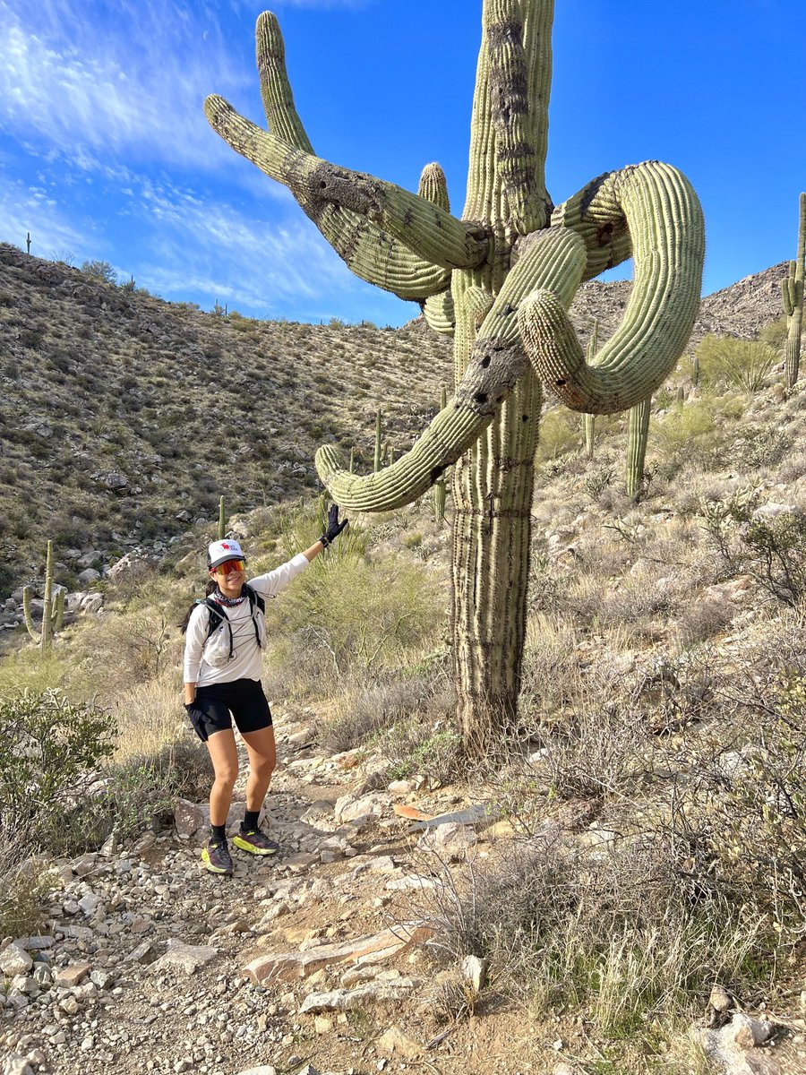 16 trail miles yesterday + 13.75 trail miles today ✅ …and a high five from a saguaro! 🌵 Great weekend in AZ 🙌🏼😊