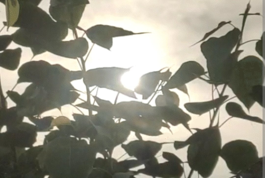 सफलता के लिए किसी भी खास वक्त का इंतजार मत करो, बल्कि अपने हर समय को खास बना लो…

Good morning friend
💯🔙