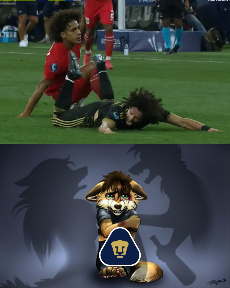 Analistas tweet media