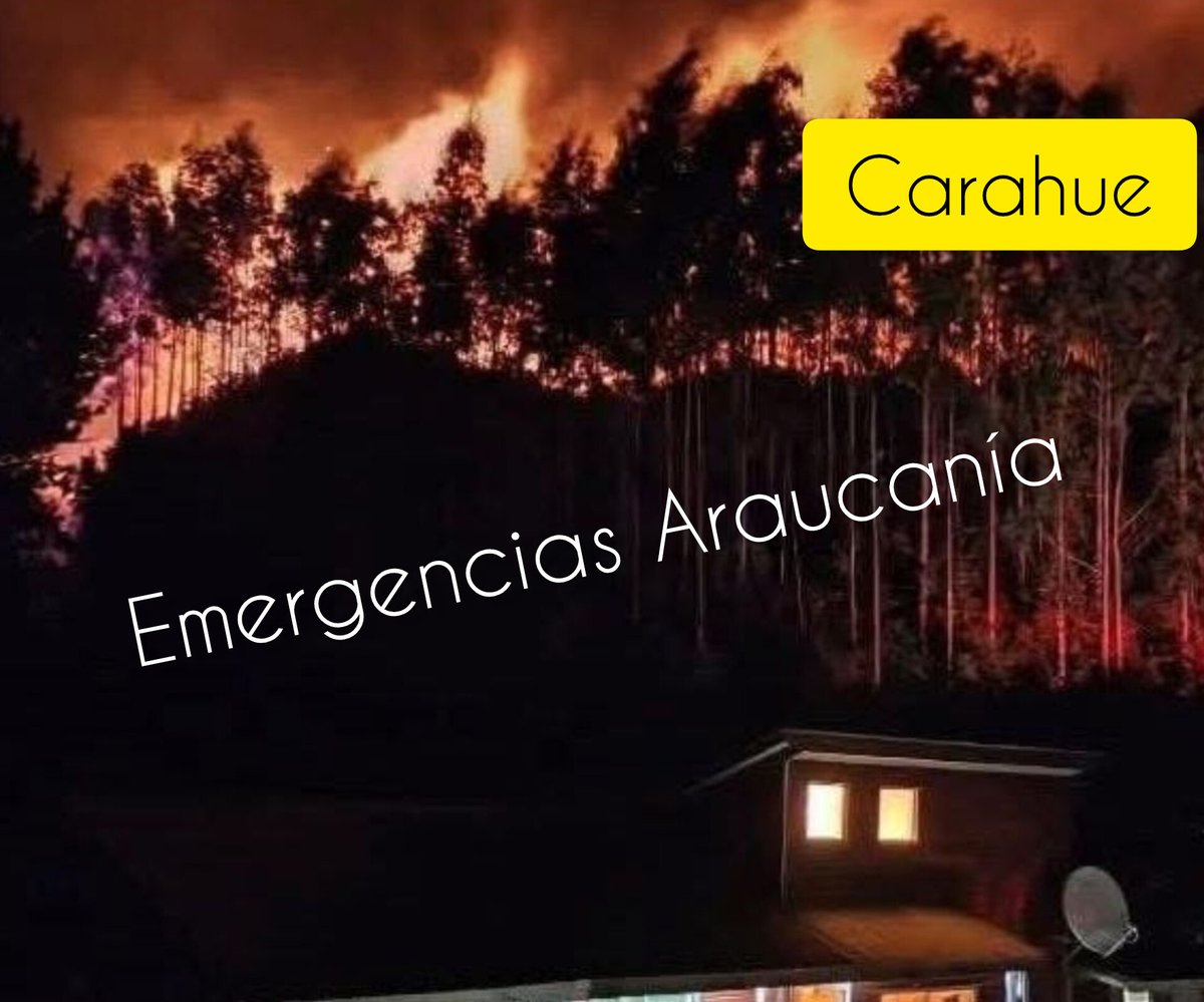 Incendio forestal comuna de #Carahue, sector arrayenes camino hacia tirua  siendo las 23:24 se da PRIMERA ALARMA FORESTAL .
Alrededor de 6 viviendas en peligro por incendio a menos de 100mts 
Trabaja CB CARAHUE  
Unidades 🚒Bf2 🚒B4 🚒B5  .
✅️ Camiones algibes en camino
